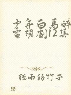 少年白马醉春风电视剧12集免费播放在线
