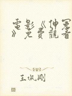 电影《伸冤人4》免费观看全集