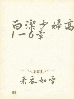 白洁少妇高义第1一6章