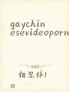 gaychinesevideoporn封面
