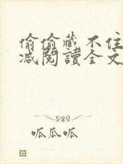 偷偷藏不住无删减阅读全文