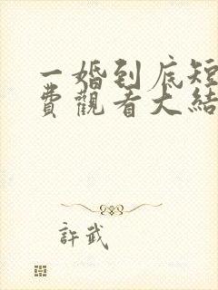 一婚到底短剧免费观看大结局封面