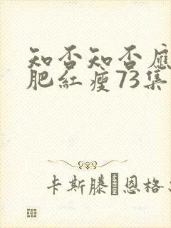 知否知否应是绿肥红瘦73集