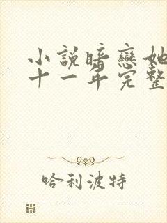 小说暗恋她的第十一年完整版