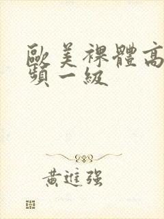 欧美裸体高清视频一级