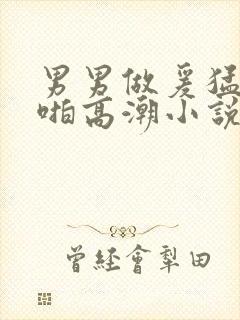 男男做爰猛烈啪啪高潮小说