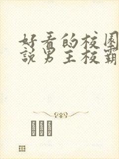 好看的校园文小说男主校霸