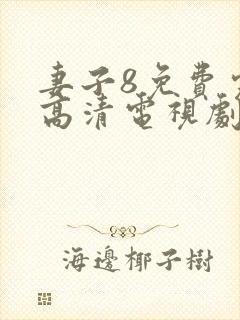 妻子8免费完整高清电视剧在线