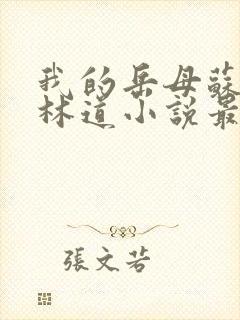 我的岳母苏沛真林道小说最新章节下载