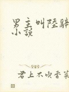 男主叫陆辞安的小说封面