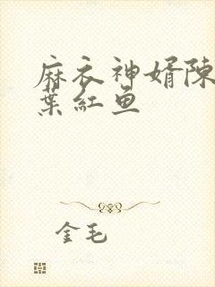 麻衣神婿陈黄皮叶红鱼