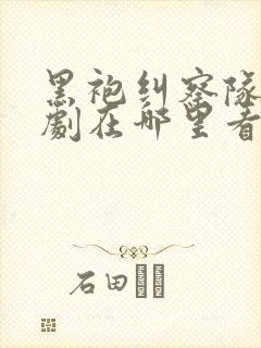 黑袍纠察队电视剧在哪里看