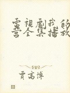 电视剧我的特一营全集播放封面