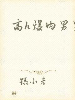 高h爆肉男男文