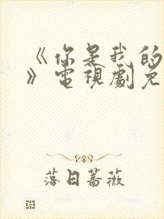 《你是我的荣耀》电视剧免费看封面