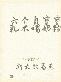 六个月宝宝断母乳不喝奶粉怎么办