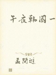 午夜韩国一级片