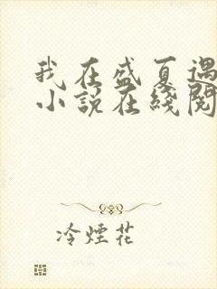 我在盛夏遇见雪小说在线阅读