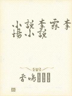 小说李霖李澜官场小说