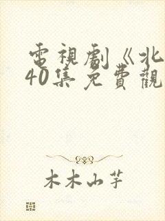 电视剧《北上》40集免费观看