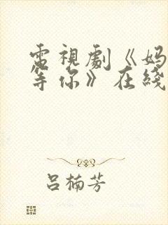 电视剧《妈妈在等你》在线观看