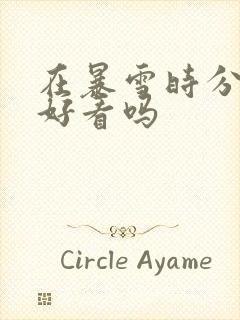 在暴雪时分小说好看吗