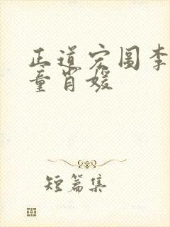 正道宏图李初年童肖媛封面