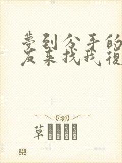 梦到分手的前男友来找我复合