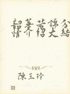 韶华若锦分集剧情介绍大结局