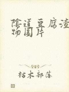 阴道豆腐渣分泌物图片