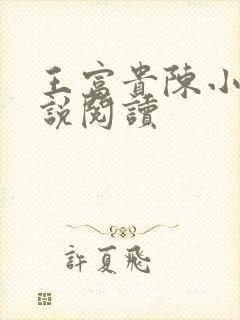 王富贵陈小芸小说阅读封面