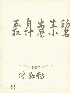 五月出生的男孩取什么小名