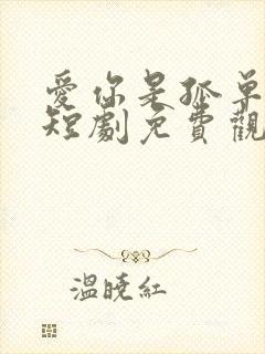 爱你是孤单心事短剧免费观看全集高清