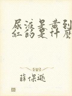 尿液是黄到有点红的是什么原因