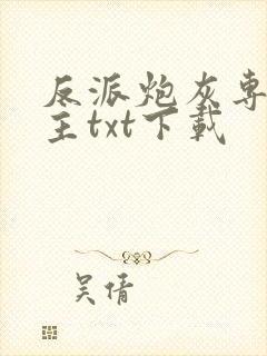 反派炮灰专偷女主txt下载