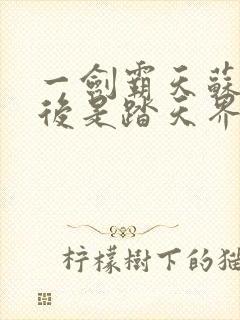 一剑霸天苏信最后是踏天界吗封面