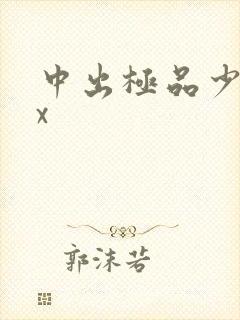 中出极品少妇xx