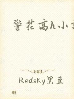 警花高h小说
