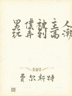 男仆被主人调教玩弄到高潮封面