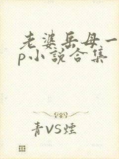 老婆岳母一起3p小说合集