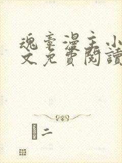 魂牵漫主小说全文免费阅读