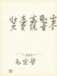 壮志高飞电视剧免费观看全集完整版