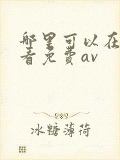 哪里可以在线观看免费av封面
