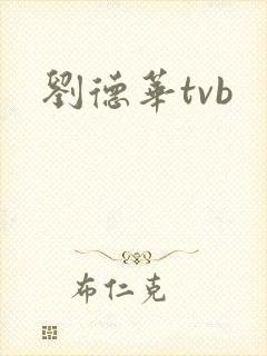 刘德华tvb