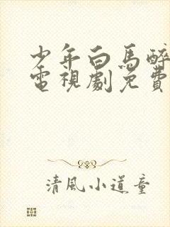 少年白马醉春风电视剧免费看全集封面