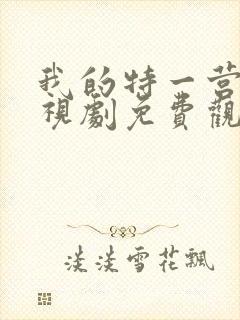 我的特一营 电视剧免费观看封面