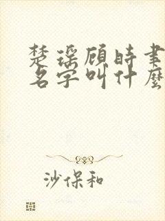 楚瑶顾时聿小说名字叫什么