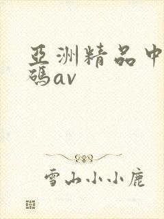 亚洲精品中文乱码av