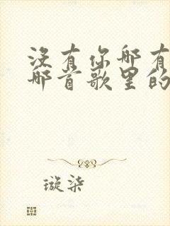 没有你哪有我是哪首歌里的歌词