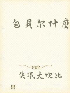 包贝尔什么来头